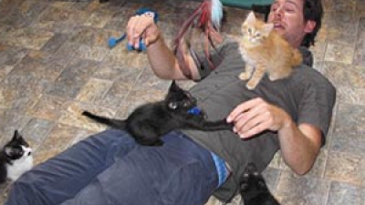 John Fulton Hosts Animal Planet’s Must Love Cats Photo