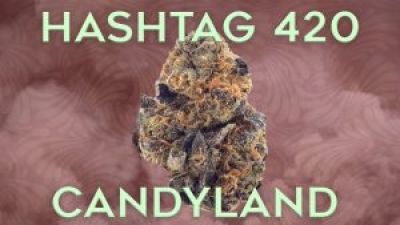 Hashtag 420 Candyland and Bri on theStream.tv Photo