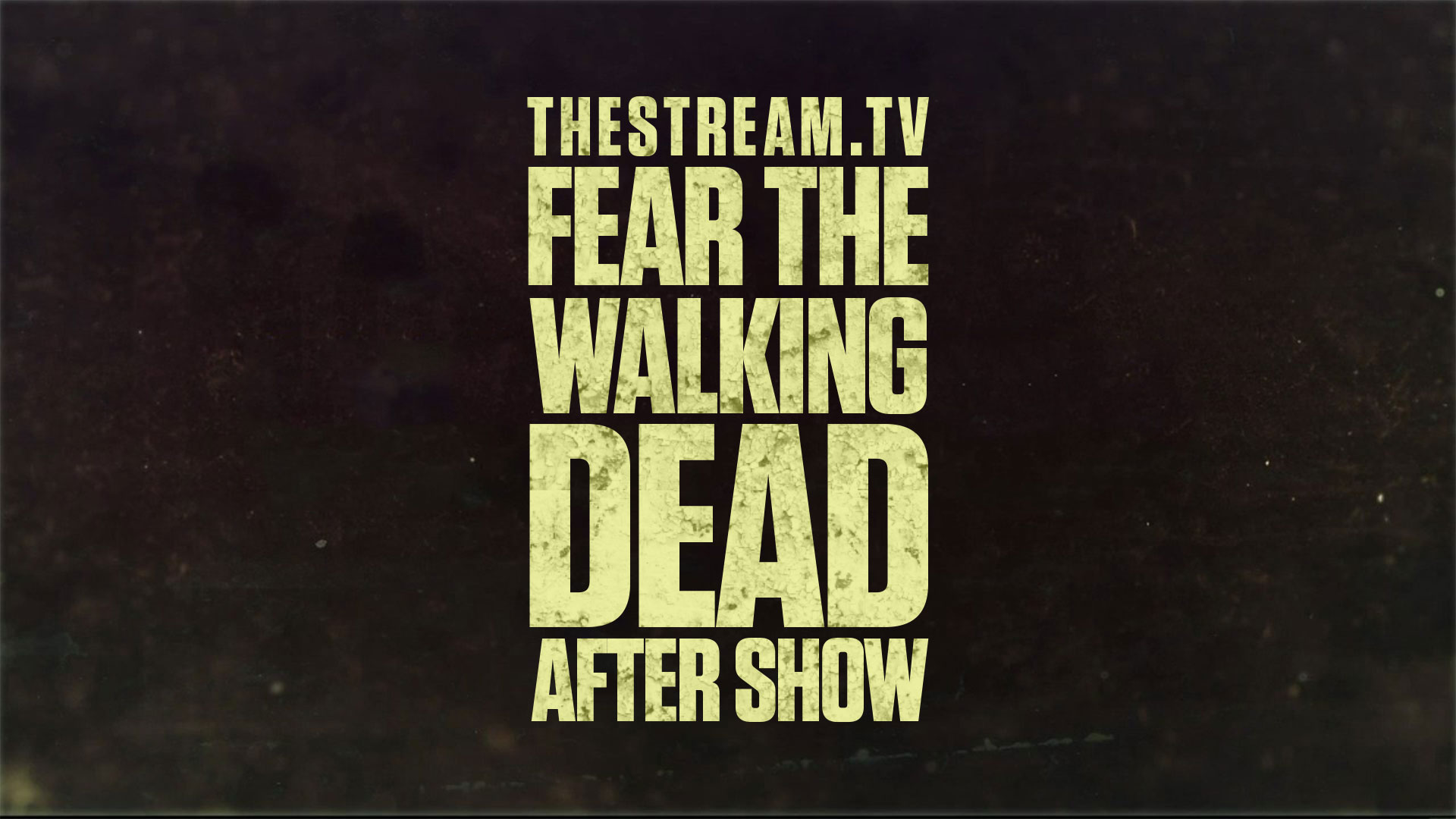 Fear The Walking Dead After Show