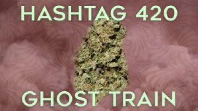 Hashtag 420 Ghost Train Haze with Misty Fair on theStream.tv Photo